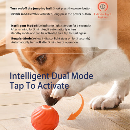 Interactive Bouncing Ball for Dogs Automatic Smart USB Rechargeable Toy