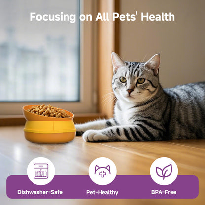 Hamburger Pet Bowl Multi Layer 5 in 1 Feeding Set