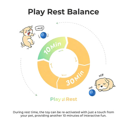 Interactive Bouncing Ball for Dogs Automatic Smart USB Rechargeable Toy