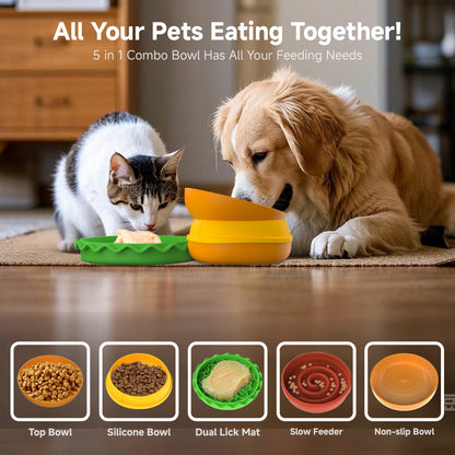 Hamburger Pet Bowl Multi Layer 5 in 1 Feeding Set
