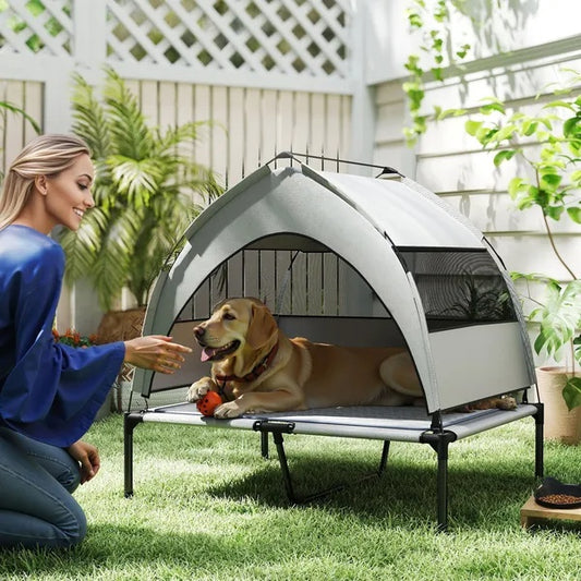 Elevated Dog Bed with Removable Canopy Portable Raised Cot
