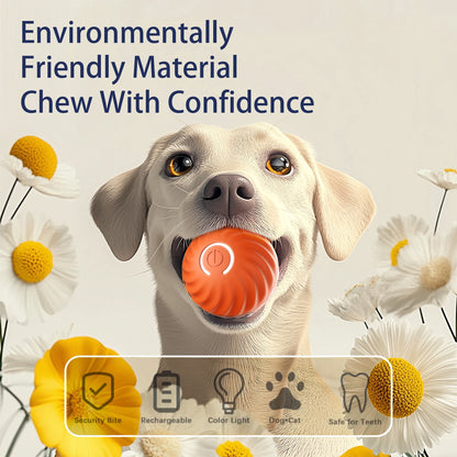 Interactive Bouncing Ball for Dogs Automatic Smart USB Rechargeable Toy