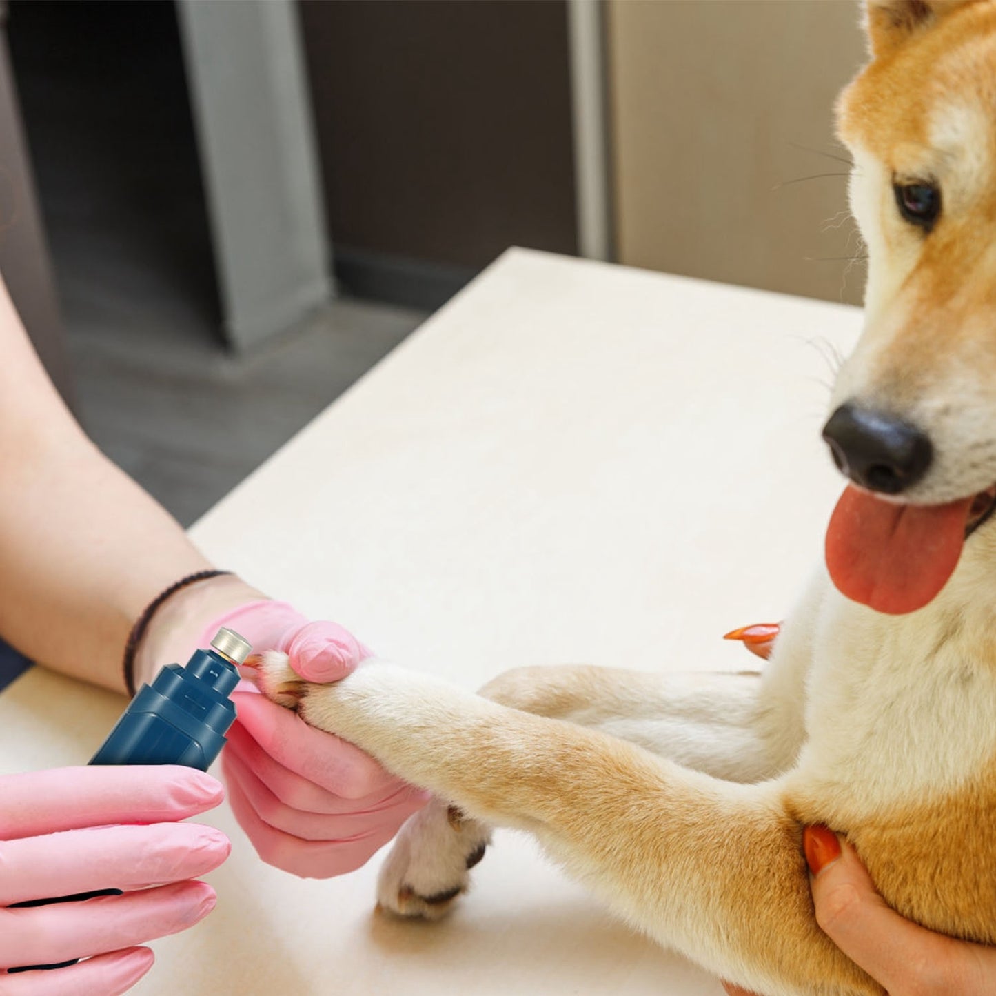 Dog Nail Grinder 2 Speed USB Rechargeable Quiet Pet Trimmer